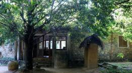 Image Gallery