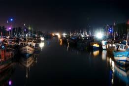 Image Gallery