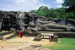 Image Gallery