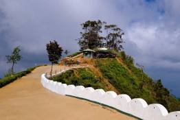 Image Gallery