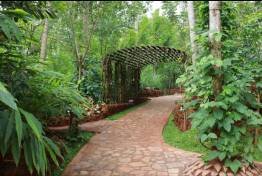 Image Gallery