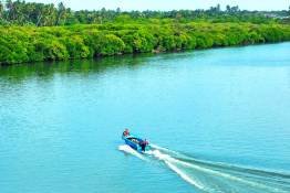 Image Gallery