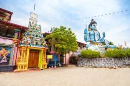 Image Gallery