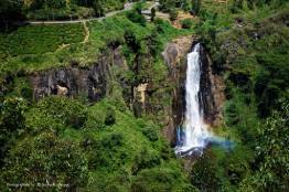 Image Gallery