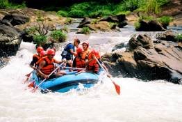 Image Gallery