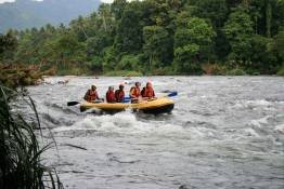 Image Gallery