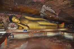 Image Gallery