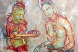 Image Gallery