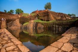 Image Gallery
