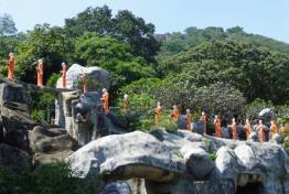 Image Gallery