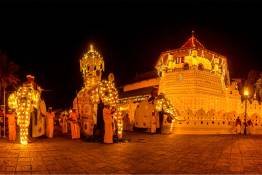 Image Gallery