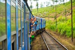 Image Gallery