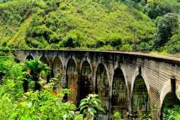 Image Gallery