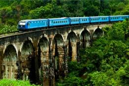 Image Gallery