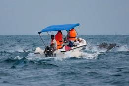 Image Gallery