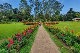 Image Gallery