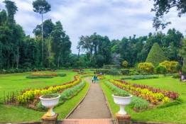 Image Gallery