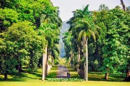 Image Gallery