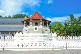 Image Gallery