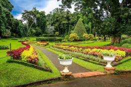 Image Gallery
