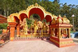 Image Gallery
