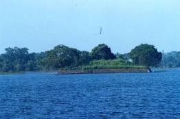 Image Gallery