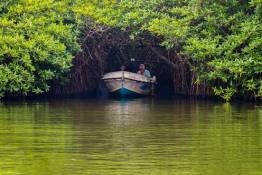 Image Gallery